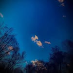 Matthew Honaker - @matthewh_09 - Instagram
