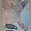 Matthew Hosein - @matthew.hosein2 - TikTok