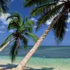 Matthew Hosein - @matthew.hosein3 - TikTok
