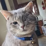 Matthew Hostetter - @hostettermatthew - Instagram