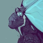 Matt Huebner - @matthew.huebner - Instagram