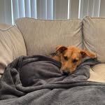 Matthew Hurtado - @matthew.hurtado.75033 - Instagram