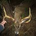 Matt Hutto - Facebook