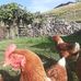 Matthew Hutton - Facebook