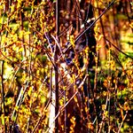 Matthew Imler - @matthewscottphoto - Instagram
