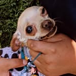 Matthew Jacobo - @matthewjacobo12 - Instagram