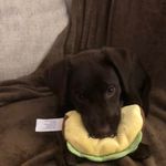Matthew Jaeger - @matthewjaeger1 - Instagram