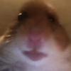 matthewjaeger985 - @matthewjaeger985 - TikTok