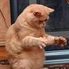 MATHHEW JAIKL - @mathhew.jaikl - TikTok