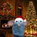 Jarred Matthew - Facebook