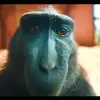Matthew Joaquin - @matthewjoaquin7 - TikTok