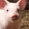 matthewjoaquin - @matthewjoaquin2 - TikTok
