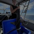 Matthew Jordan - Facebook