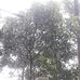 Joyal Mathew - Facebook