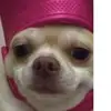 Matthew - @matthewjunkins26656 - TikTok