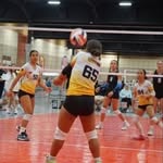 Kailana Tong-Matthews - @kailanatongmatthews.2028 - Instagram