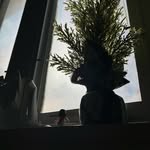 Matthew kail jr. - @jr.matthewkail - Instagram