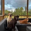 Matthew Kapusta - @matthew.kapusta - TikTok
