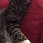 Matthew Lee Karasek - @matthewkarasek - Instagram