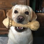 Matthew Karns - @matthew.karns.17815 - Instagram