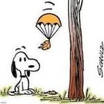 Matthew Karns - @matthewkarns - Instagram