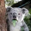 juanmatthewkarste - @juanmatthewkarste - TikTok