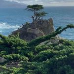 Matthew Kersey - @mattkersey73 - Instagram