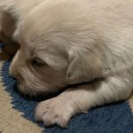 Matthew Kersey - @matthew.kersey.50 - Instagram