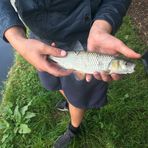 Matthew Kiff - Facebook