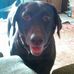 Mathew Kindred - Facebook