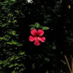 Matthew Kirscht - @matthewkirscht3979 - Instagram