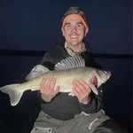 Matthew Kittelson - @matthewkittelson - Instagram