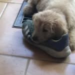 Matthew Klepps - @matthewklepps - Instagram