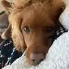 matthewklipp24 - @matthewklipp - TikTok