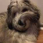 Matthew Koehler - @mattkoehler08 - Instagram