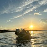 Matthew Koehler - @matttkoehler - Instagram