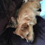Matthew Konrad - @kmatt1137 - Instagram