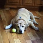 Matthew Konrad - @chew_master99 - Instagram