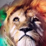 Matthew Koelman - Facebook