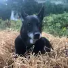 Matthew Kotfila - @matthew.kotfila - TikTok