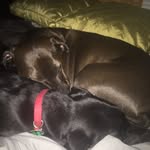 Matthew - @matthew_kromrey - Instagram