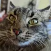matthewlabarbera0 - @matthewlabarbera0 - TikTok