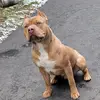matthewlabarbera - @matthewlabarbera2 - TikTok