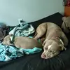 matthewlackey - @matthew.lackey0 - TikTok