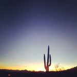 Matthew Laforest - @matthew.laforest.75 - Instagram