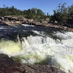 Matthew Laforest - @laforestmatthew - Instagram