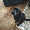 Matthew La Forge955 - @matthewlaforge955 - TikTok