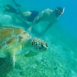 Matthew Laforge - @matt_laforge - Instagram