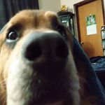 Matthew Landsteiner - @matthewlandsteiner - Instagram