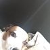 Matthew Langstaff - Facebook